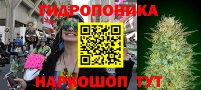 гидра Камень-на-Оби