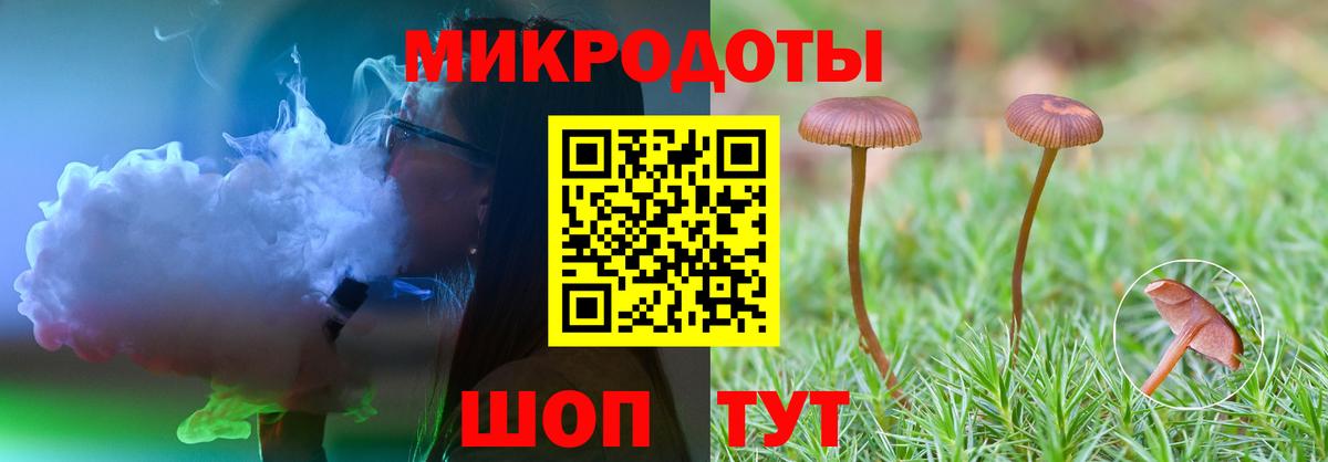 Кудымкар  Галлюциногенные грибы прущие грибы  Вход с VPN 